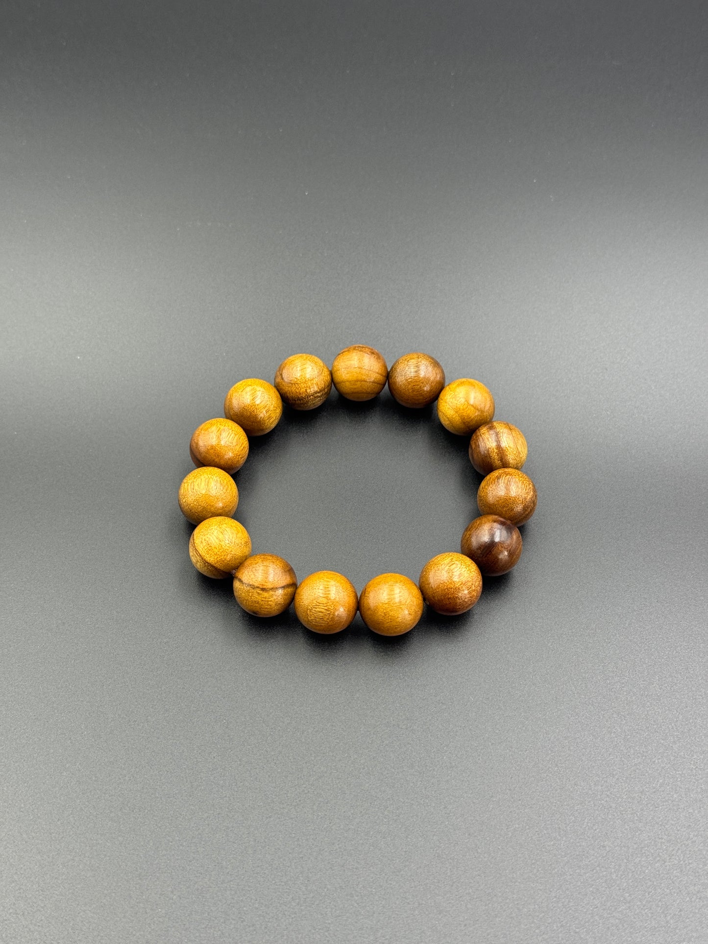 枯木金糸楠（かれき・きんしなん）1.5