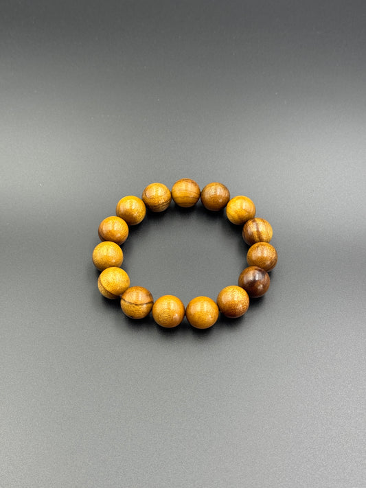 枯木金糸楠（かれき・きんしなん）1.5