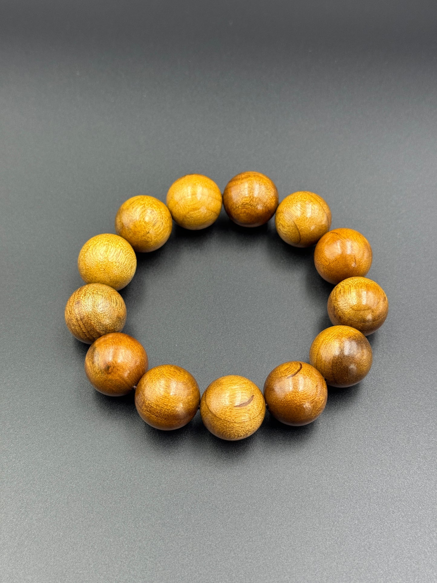 枯木金糸楠（かれき・きんしなん）1.8