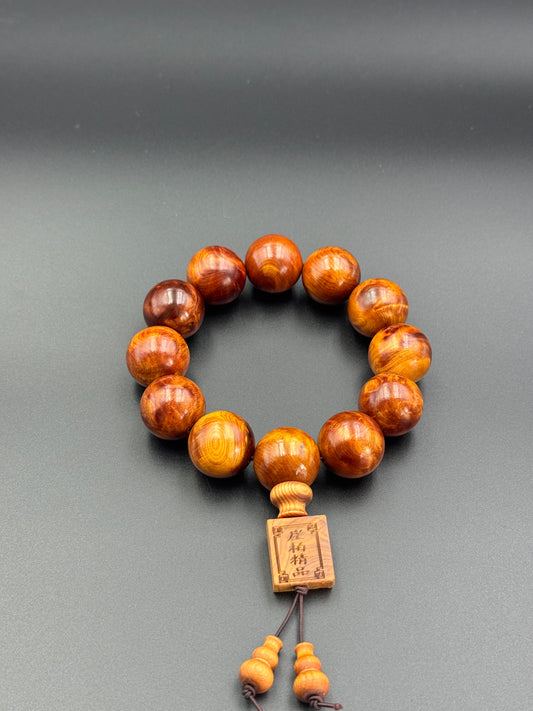 太行山 崖柏（たいこうざん・がいはく）2.0