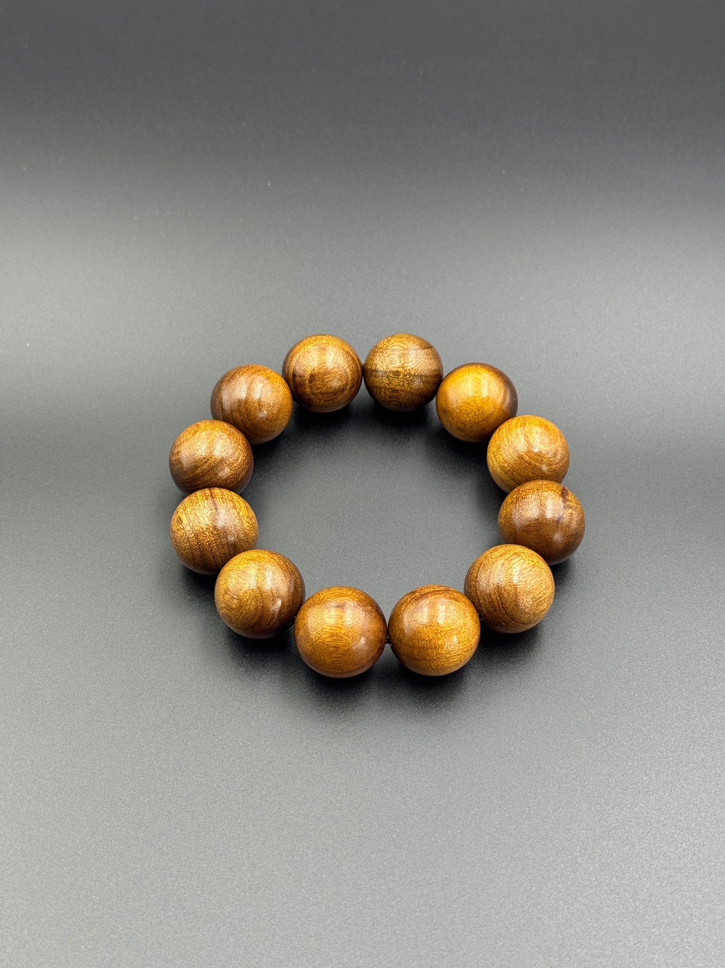 枯木金糸楠（かれき・きんしなん）2.0