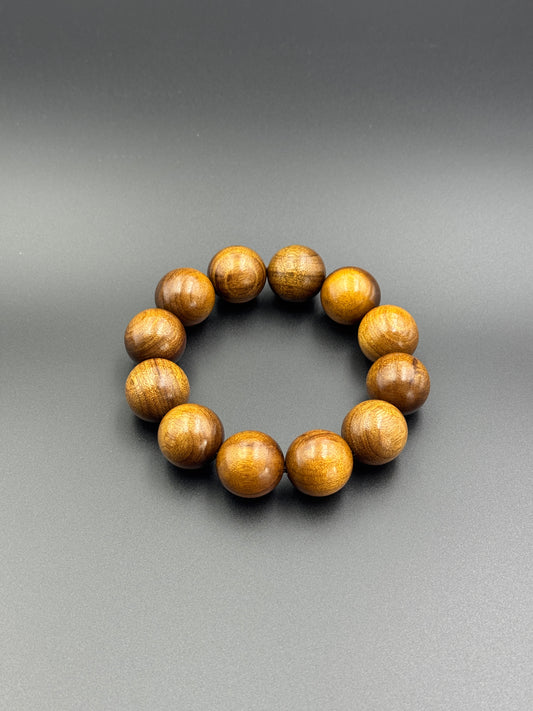 枯木金糸楠（かれき・きんしなん）2.0