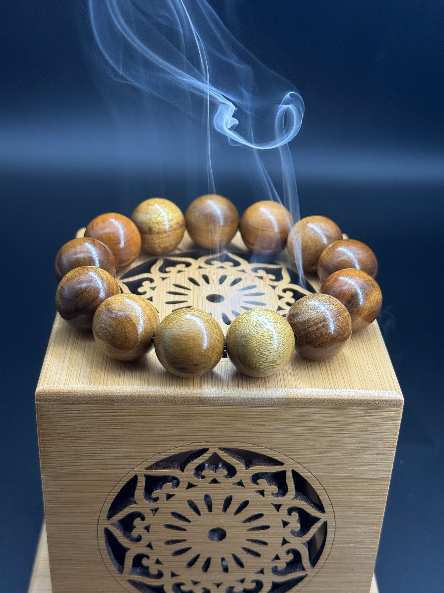 枯木金糸楠（かれき・きんしなん）1.8