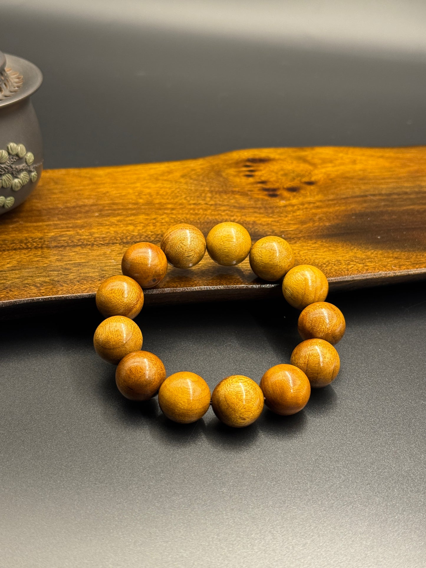 枯木金糸楠（かれき・きんしなん）1.8