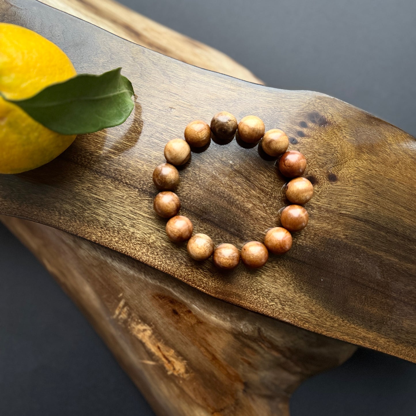 枯木金糸楠（かれき・きんしなん）1.5