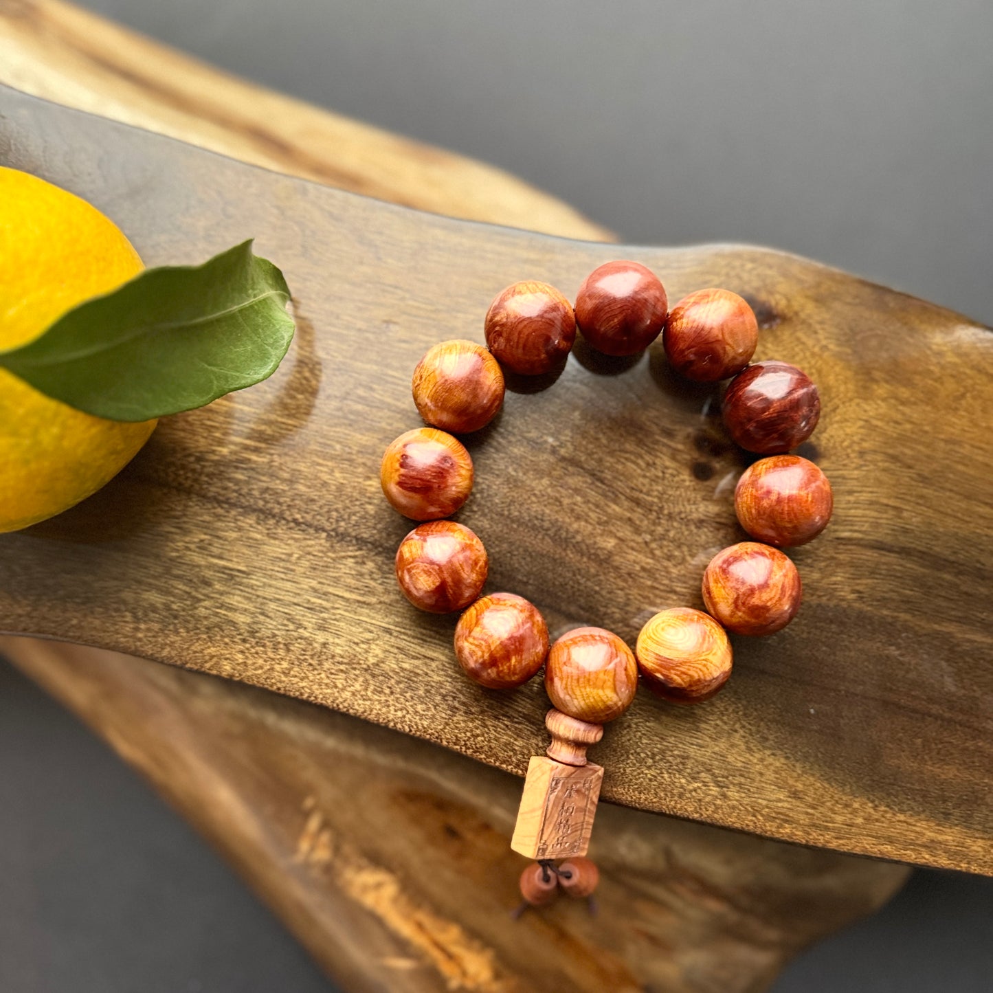 太行山 崖柏（たいこうざん・がいはく）2.0