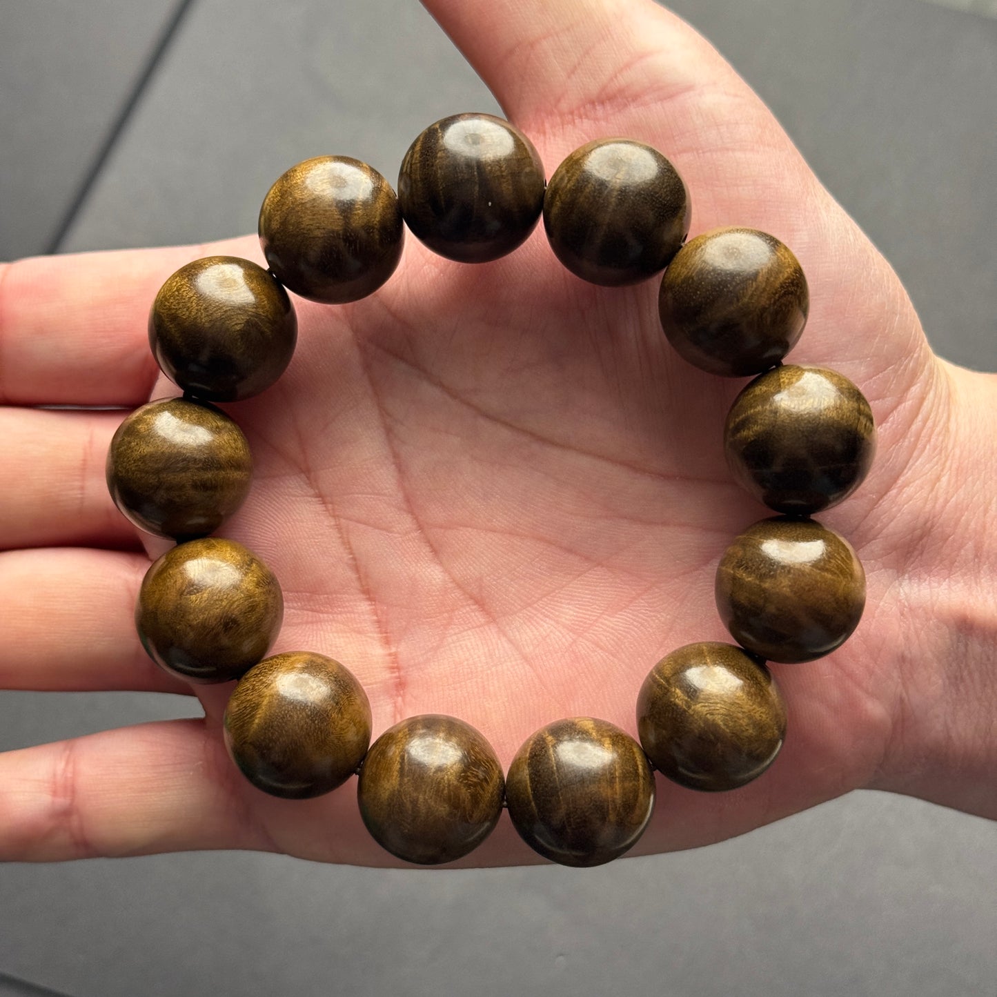 阴凉金樟（Inchin/Kinshinan）绿色材料 1.5