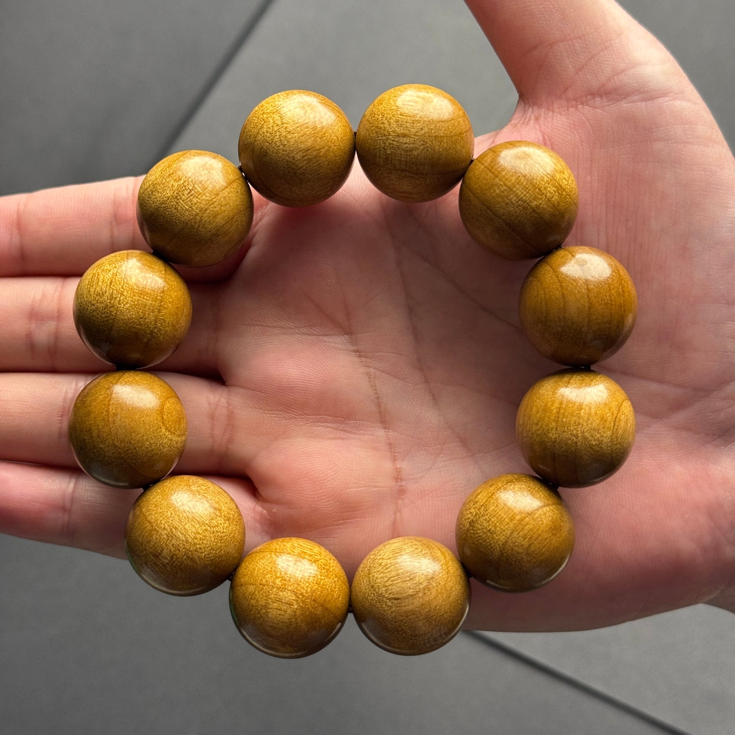 枯木金糸楠（かれき・きんしなん）2.0