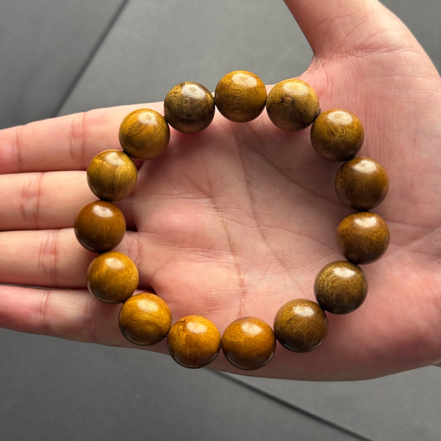 枯木金糸楠（かれき・きんしなん）1.5